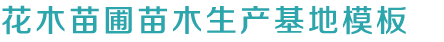 k8凯发推荐切尔西