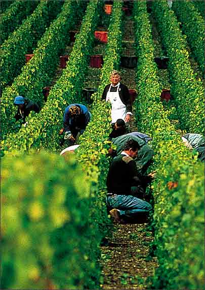 航天汽车6大岗位等你来！