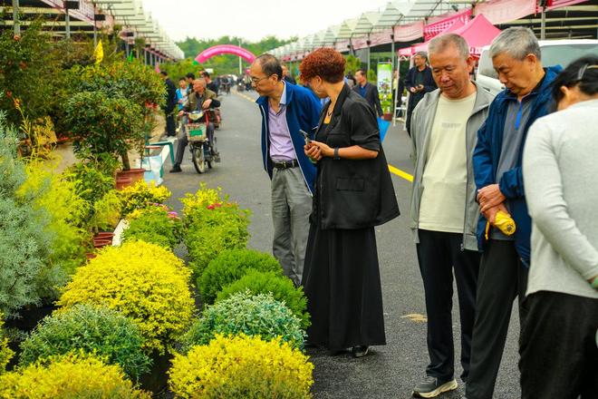 第二十届泰山苗木花卉交易会9月27日开幕